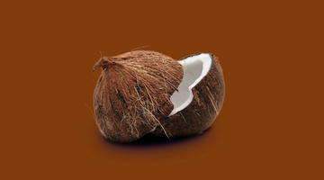 Les bienfaits de la noix de coco sur le cycle menstruel