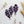 Charger l&#39;image dans la galerie, La Maison du Bambou Flamants roses Lot de 3 ou 4 protèges slip spécial tanga + pochette de rangements offerte
