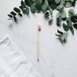 La Maison du Bambou Lot de 10 brosses à dents 8 couleurs disponibles